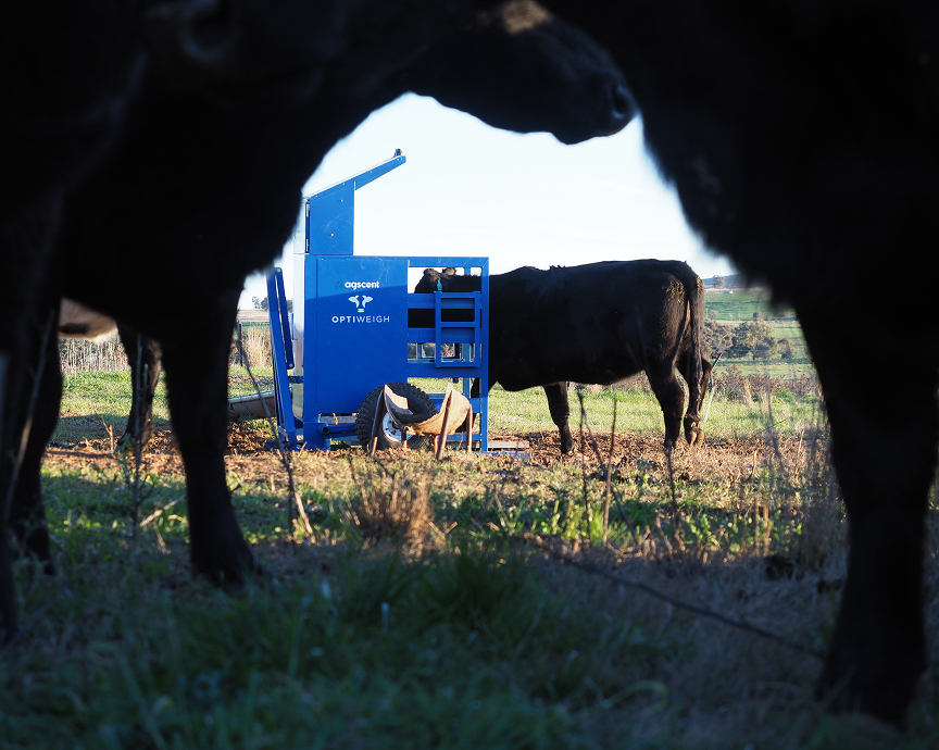 Agscent Air GHG in the field