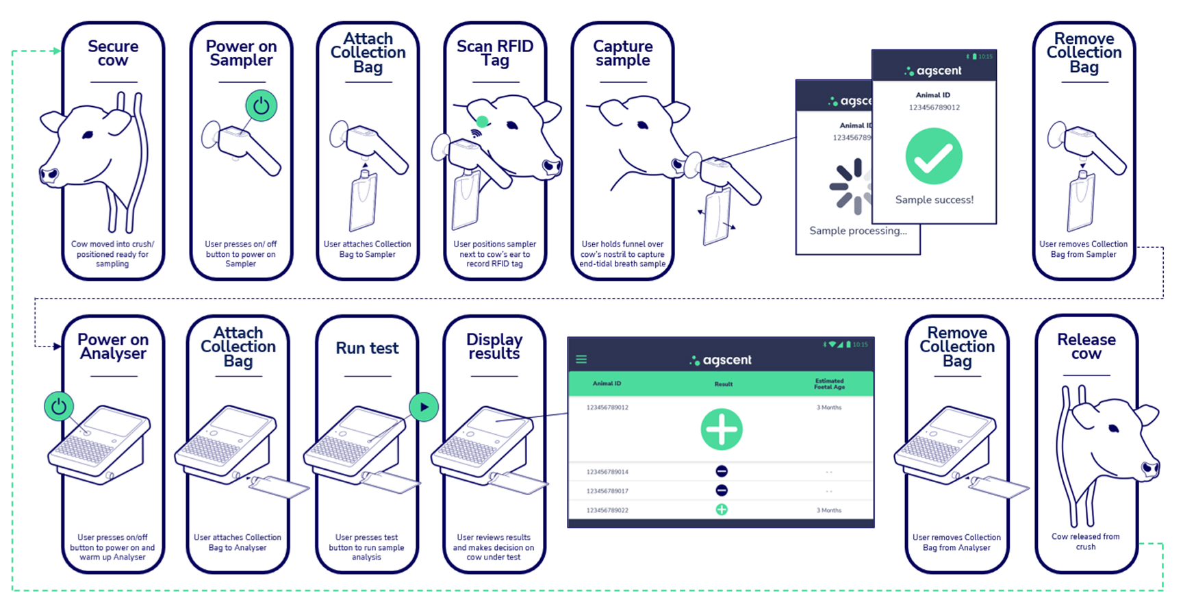 How Agscent Breath works