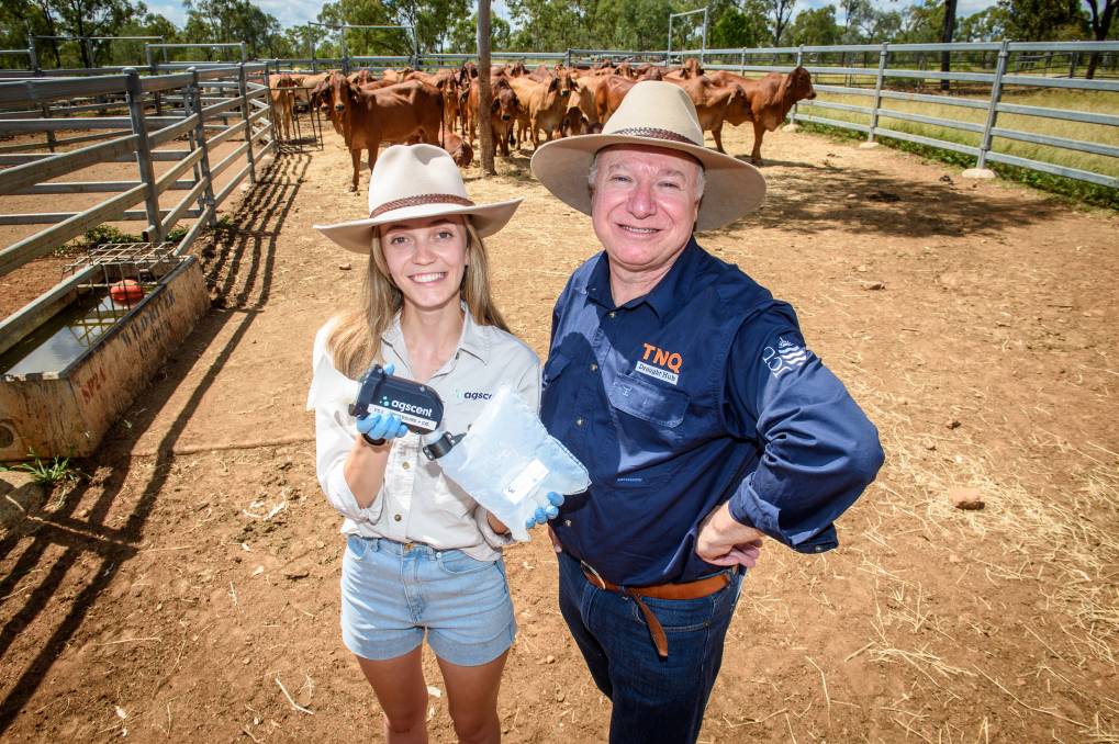 Agscent Technical Officer, Charlotte Wood with Queensland Drought Resilience Adoption and Innovation Hub director Dr David Phelps at Fletcherview Station, near Charters Towers. Picture Scott Radford-Chisolm.